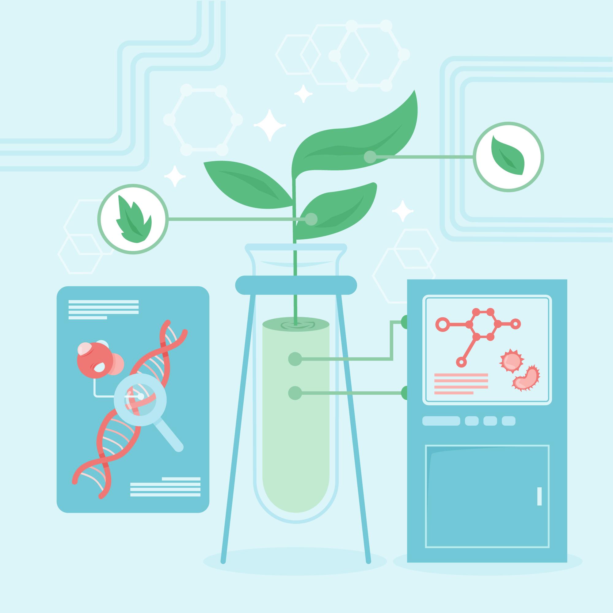 Analyse scientifique sur une plante