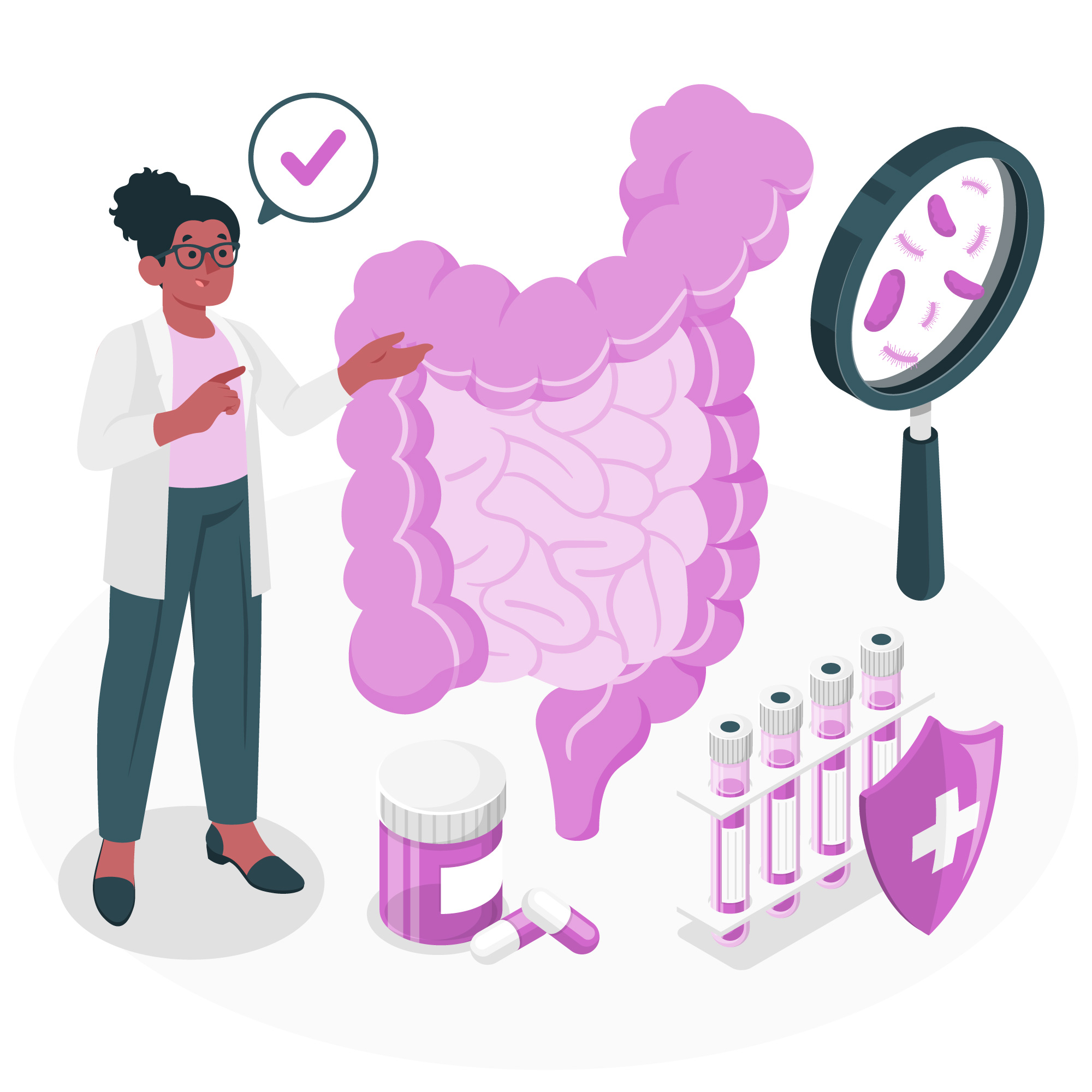 Illustration symbolisant une santé intestinale optimale