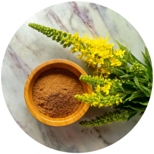 fleurs de bouillon blanc en poudre